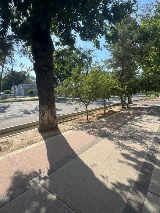 Чиланзар 8. Под офис.