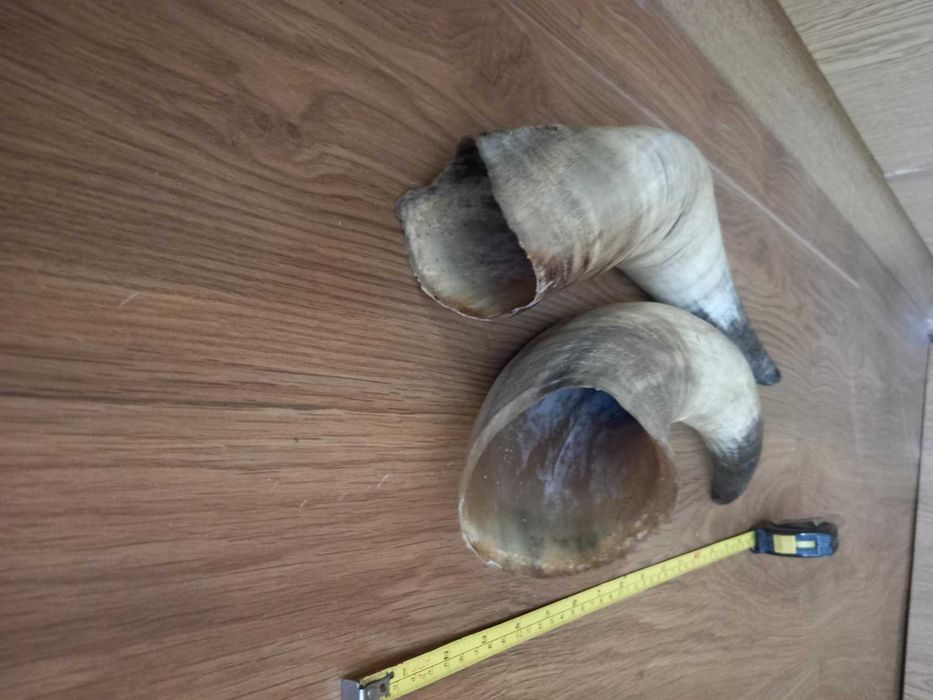 Големи рога за барутници