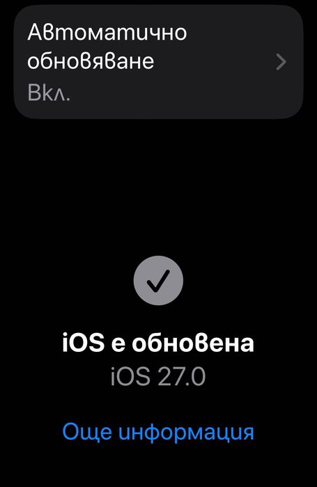IPhone 12 Pro Max 128 GB