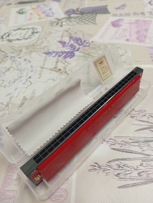 Muzicuta 24 de gauri