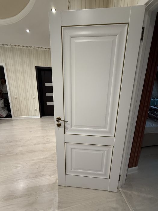 Двери 5 штук.