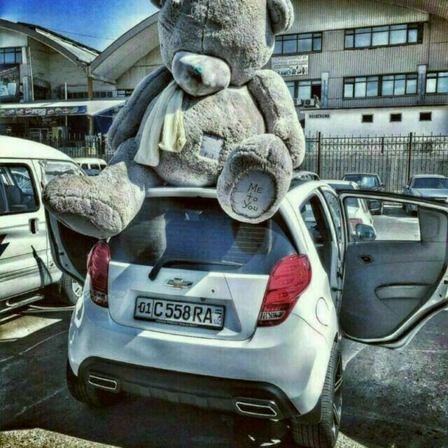 Teddy Teddi va Boshqa Xar Hil Yumshoq O'yinchoqlar