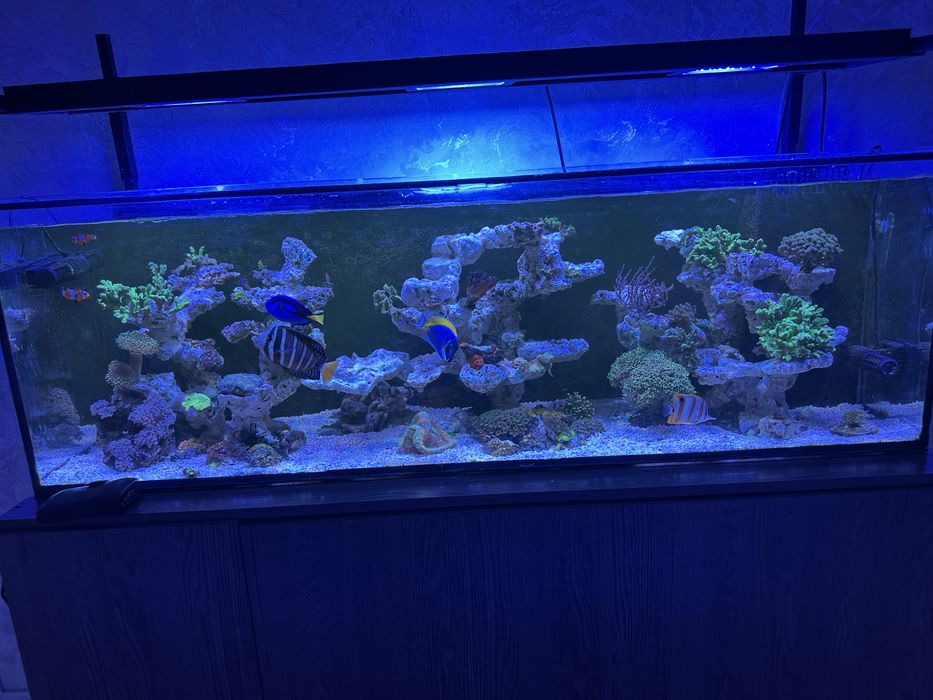 Морской аквариум