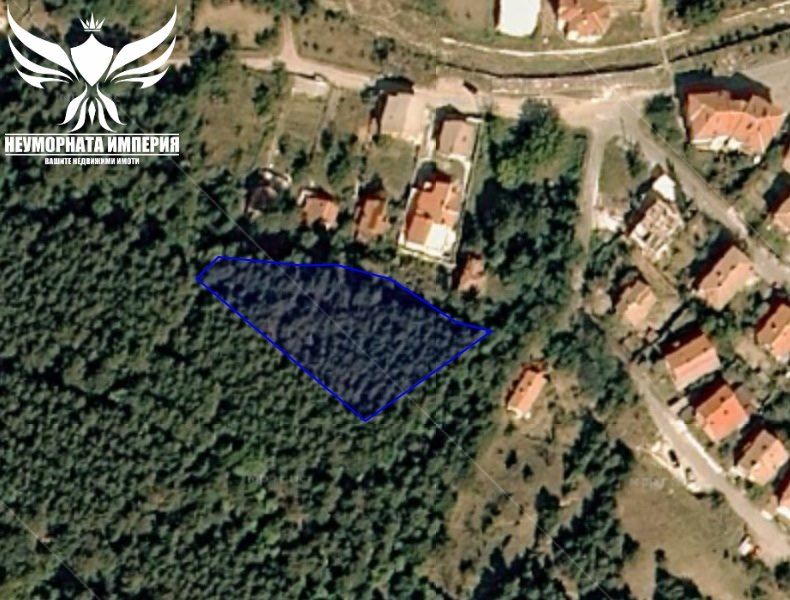 Продавам дървопроизводителна гора 2103 кв. в кв.Долни Воден Асеновград