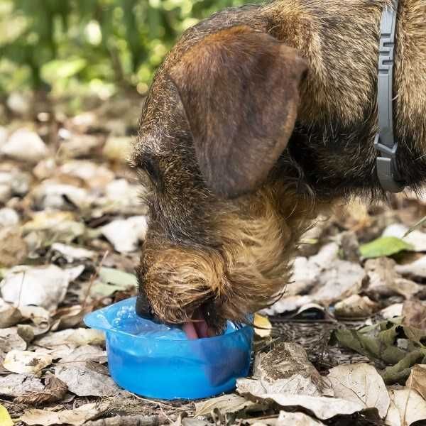 Recipient stocare portabil 2 in 1 pentru caini, pentru apa si mancare