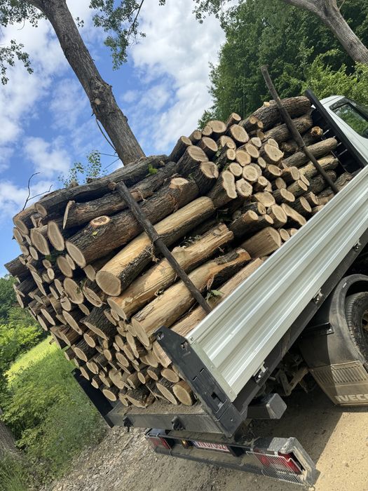 Lemn de foc esenta tare