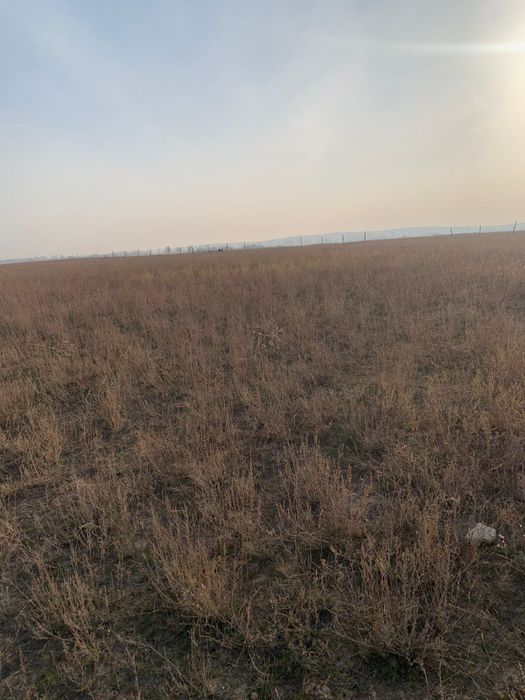 Продается участок 7 гектар срочно