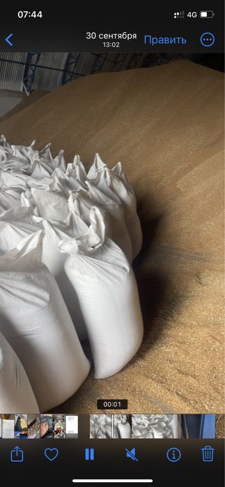 Продам Пшеницу Ячмень