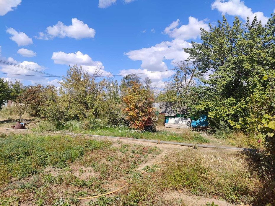 Дача 10 соток в Алмалы Авиатор