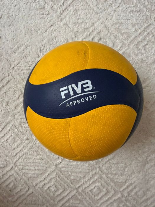 Волейбольный мяч