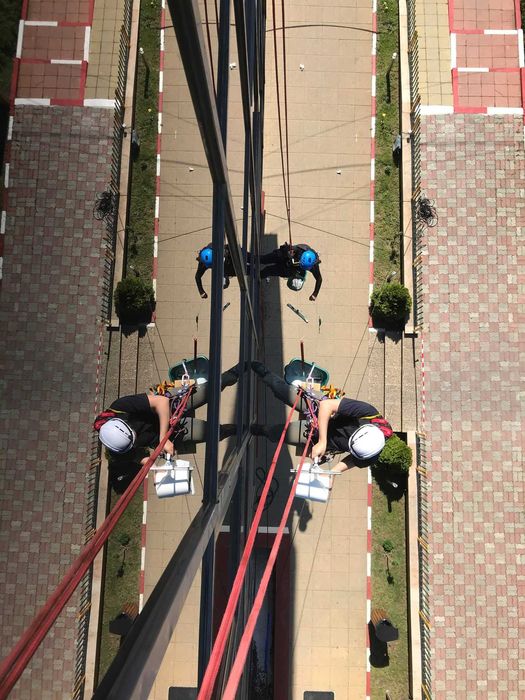 Toaletare sau tăiere copaci și reparații/întreținere acoperiș