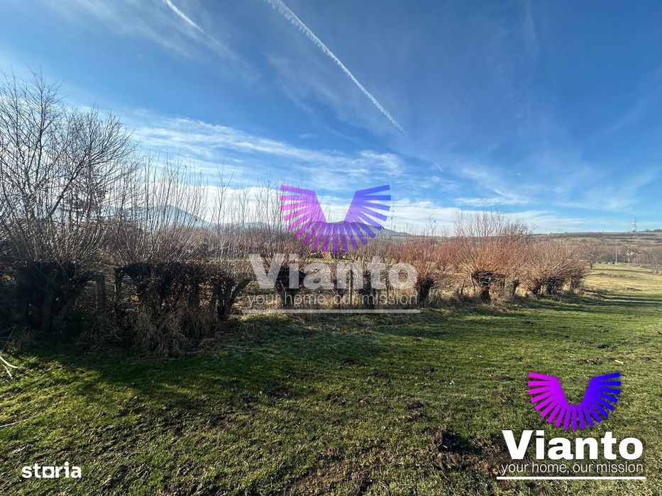 Teren intravilan 500 mp in Rasinari