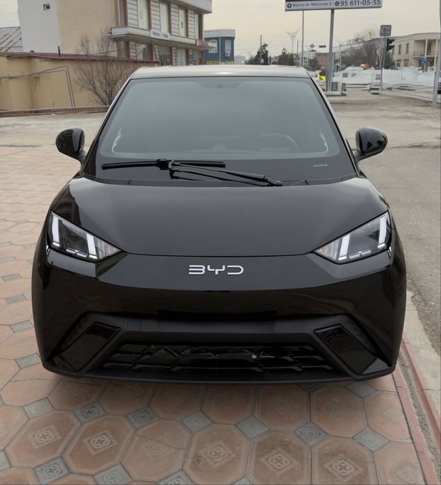 BYD seagull 2024й 405км