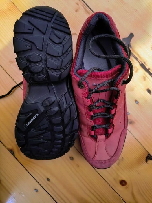 Pantofi Lowa Renegade Evo GTX