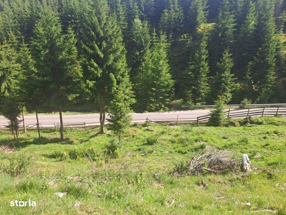 Teren Intravilan 1000mp | Drum ASFALTAT | MAGURI | PANORAMA