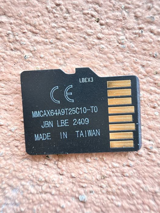 Sandisk Max Endurance 256 GB MicroSd