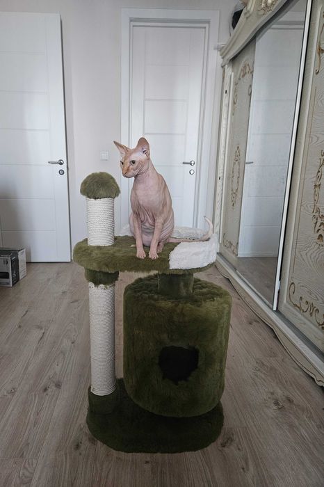 Домик для кошки, кошачий домик, когтеточка