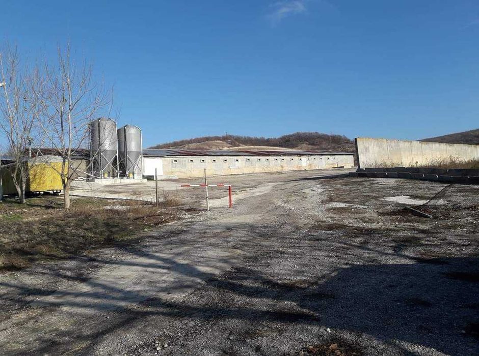 Дава се под наем Промишлена сграда в с. Балкански, Област Разград - 10000 кв.м за 867 € - Снимка #8