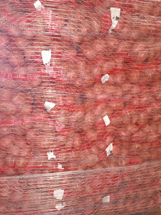 Vânzare direct Franța