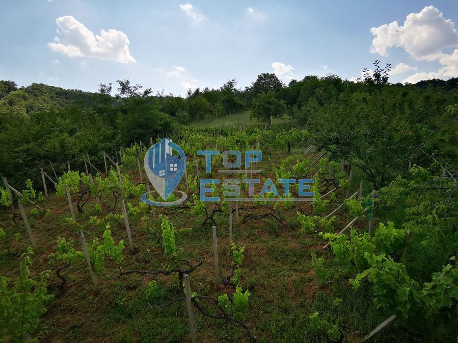 Продава се Къща в Дряново - 75 кв.м за 273 €/кв.м - Снимка #6