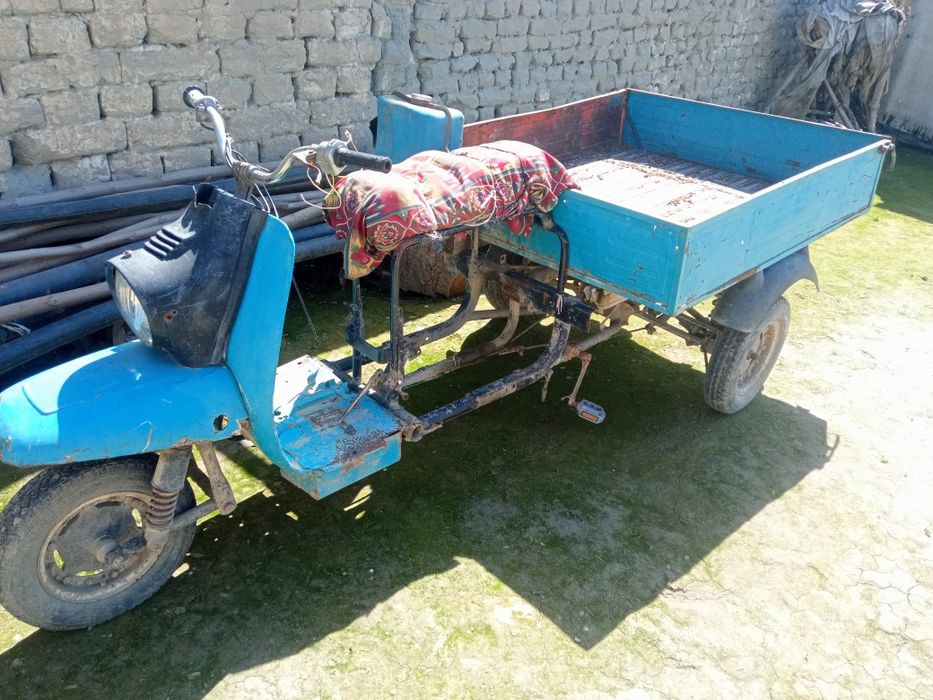 Муравей СССР матарол