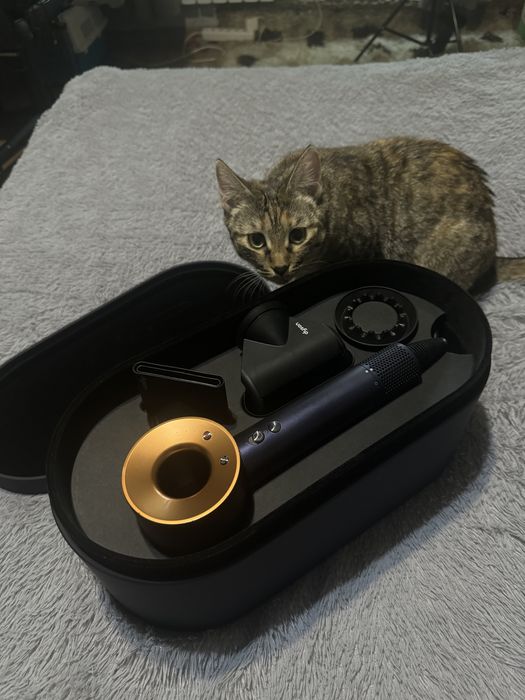 Dyson оригинал, полная комплектация