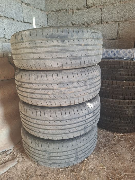 iPhone 11 and hbvvbhgvgdsdfghjjgfdd