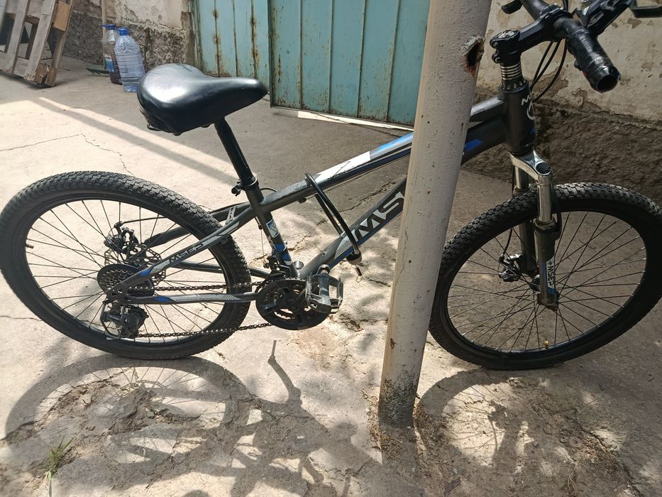 Velik 24 razmer skarasnoy