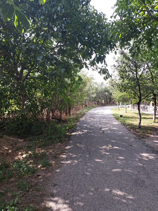 Teren intravilan Mandruloc