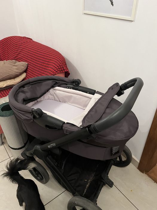 Carucior Mutsy Evo