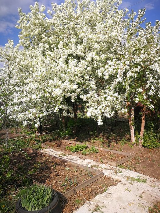 продам дачный участок,на ж/д дачах