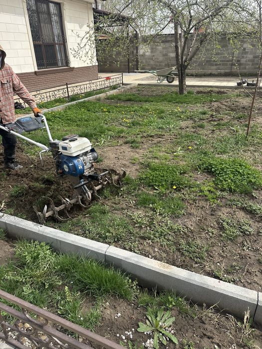 Посевной газон Под ключ