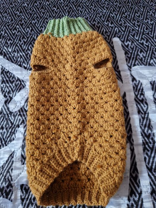 Одежда для животных