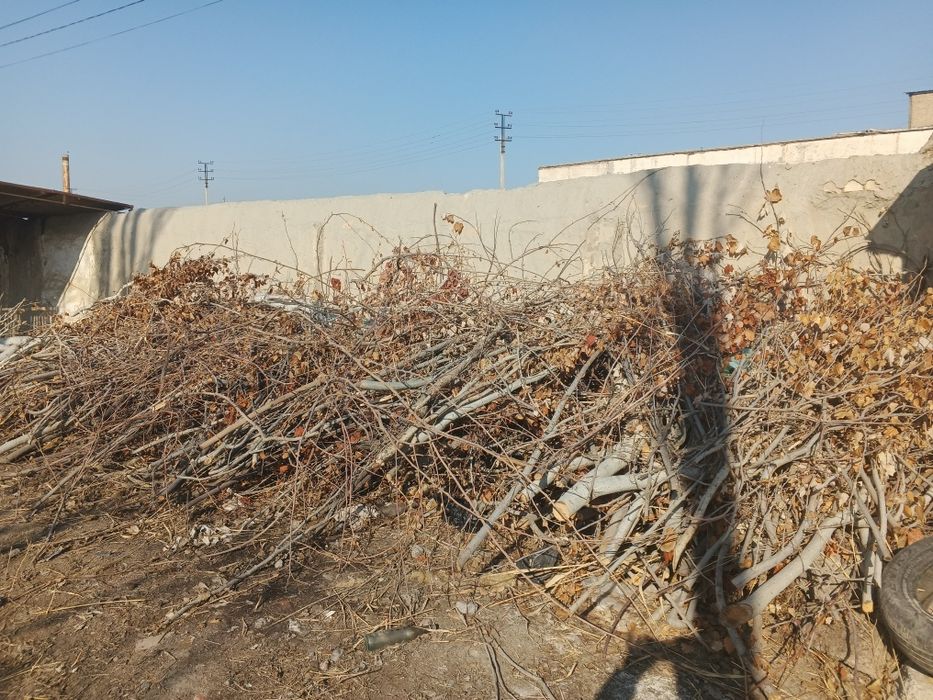 Продам утин дрова