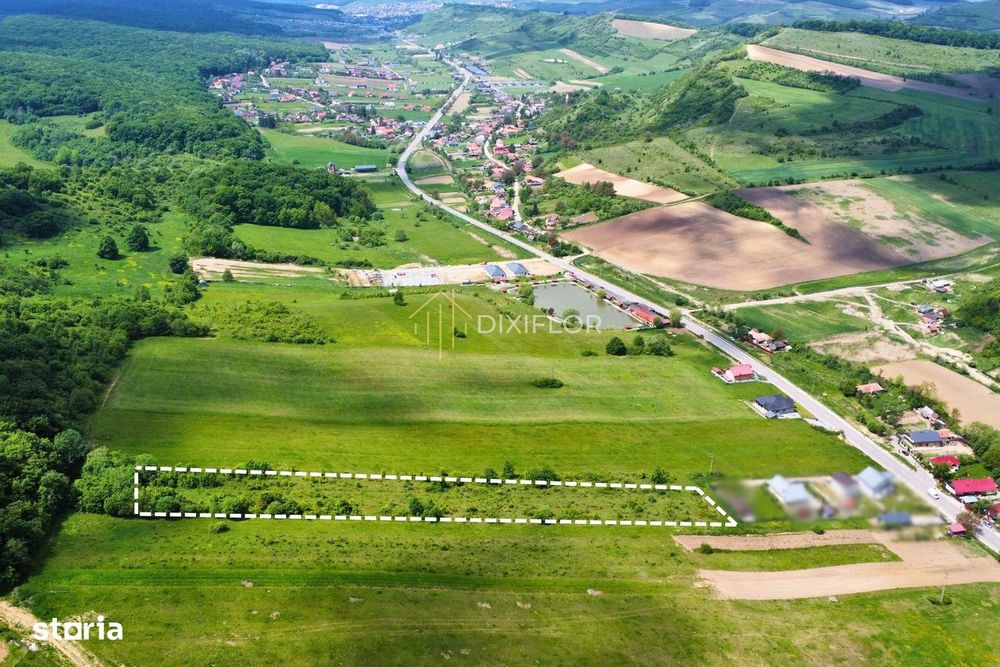 Teren intravilan | 7 parcele | Ivănești (com. Livezeni)