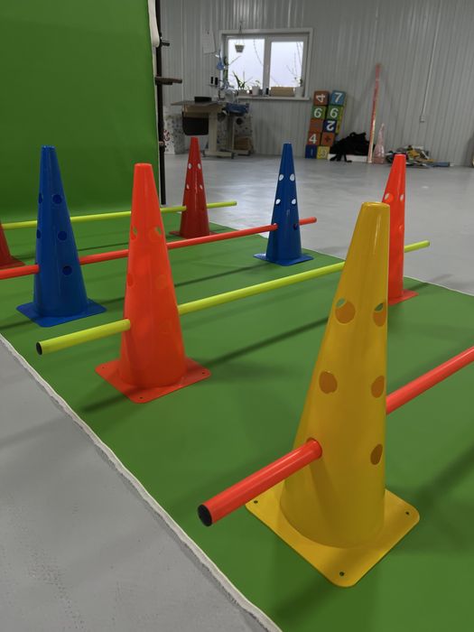 Набор из конусов и палочек