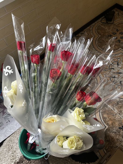 цветы розы голландские