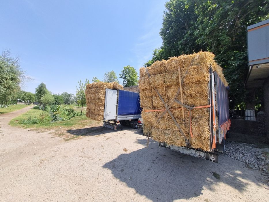 Сомон пресс бор.