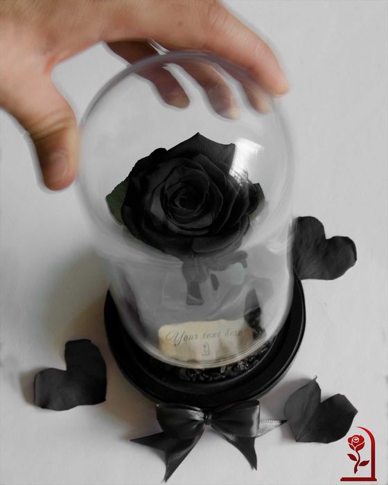 Черна Вечна Роза в Стъкленица / Ръчно Изработен Подарък за годишнина
