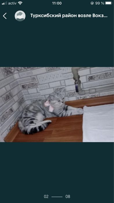 срочно вязка вязка