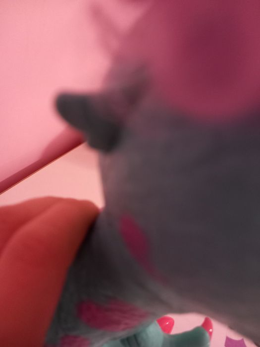 Динозавърчето Тити