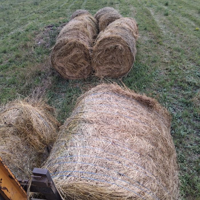 Vind baloti lucerna fin paie panusi