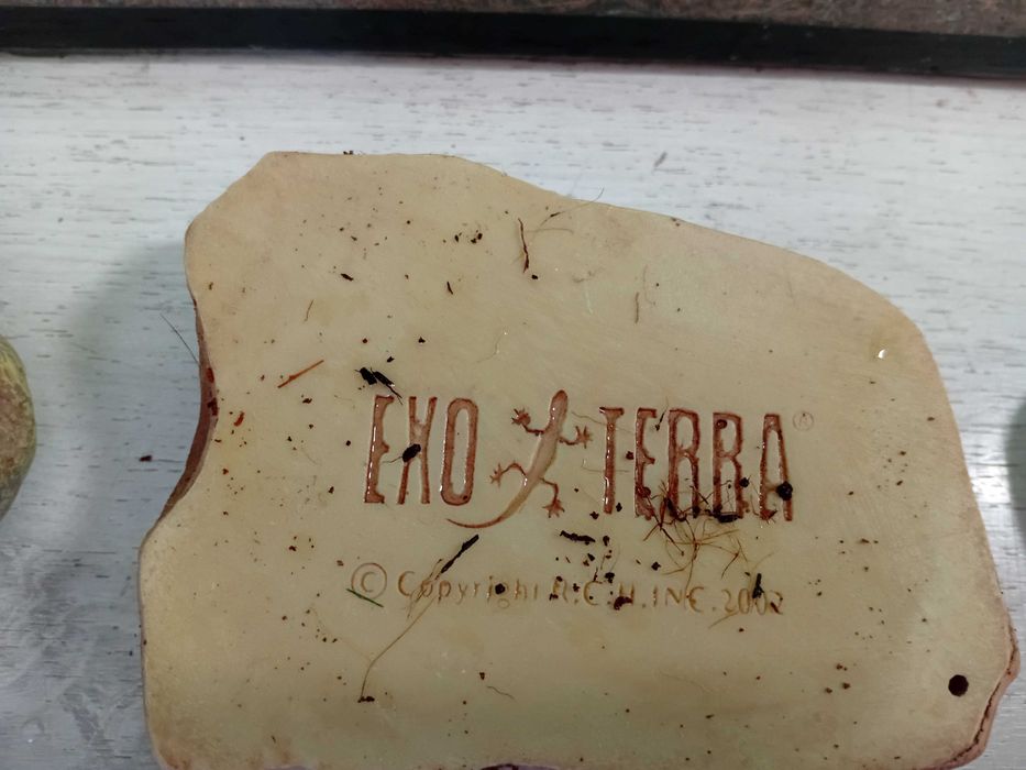 Терариум терароум терариум