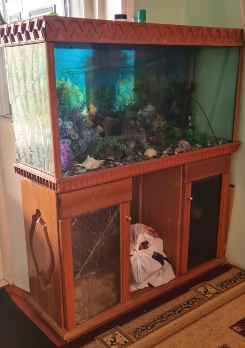 Аквариум для дома