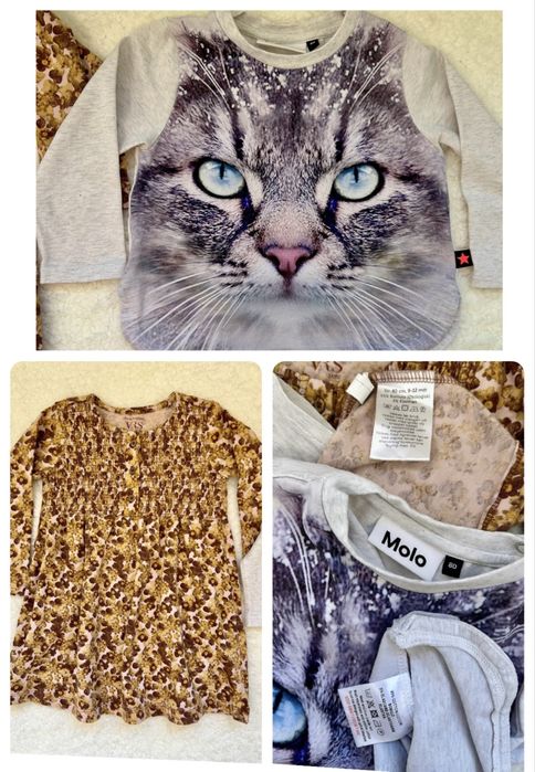 CeLaVi, Molo, Skogstad, POMPOLUX®, Joha