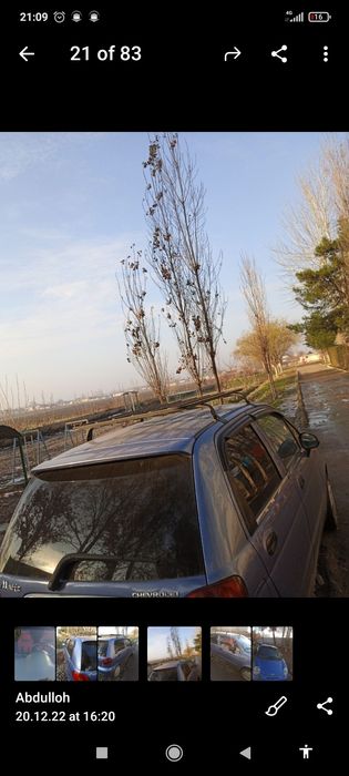 Matiz mx arenda xalol