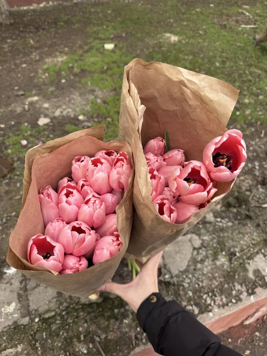 Тюльпаны опт розница