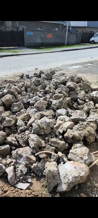 Блужник бар тас.