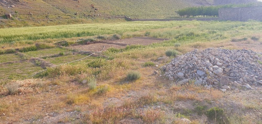 Bo‘sh yer maydoni SROSHNI sotiladi pul zarur