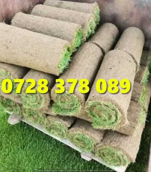 Rulouri de gazon plus Montaj !